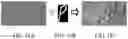 Fig. 23 - Visual image authentication