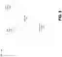 Fig. 07 - Identity verification using biometric data and non-invertible functions via a blockchain