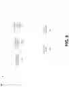 Fig. 08 - Identity verification using biometric data and non-invertible functions via a blockchain