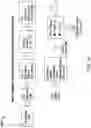 Fig. 21 - Transpositional modulation and demodulation