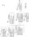 Fig. 03 - Virtual private network manager