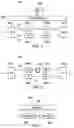 Fig. 04 - Provisioning recovery paths in a mesh network
