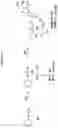 Fig. 09 - 2′-fluoro-6′-methylene carbocyclic nucleosides and methods of treating viral infections