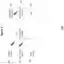 Fig. 02 - METHODOLOGY FOR INTELLIGENT PATTERN DETECTION AND ANOMALY DETECTION IN MACHINE TO MACHINE COMMUNICATION NETWORK