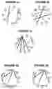 Fig. 04 - Anomalous network node behavior identification using deterministic path walking