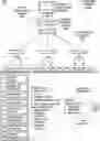 Fig. 01 - Exercising security control point (SCP) capabilities on live systems based on internal validation processing