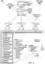 Fig. 03 - Exercising security control point (SCP) capabilities on live systems based on internal validation processing