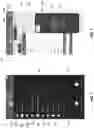 Fig. 11 - Mobile device cover for use with a host mobile device