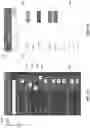 Fig. 15 - Mobile device cover for use with a host mobile device
