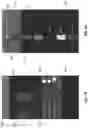 Fig. 18 - Mobile device cover for use with a host mobile device