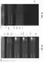 Fig. 20 - Mobile device cover for use with a host mobile device