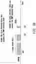 Fig. 19 - Method for downlink reception in unlicensed band and user equipment using the same