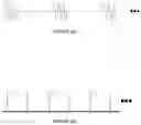 Fig. 10 - System and method for biometric measurements