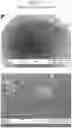 Fig. 07 - Packaged Iron Sucrose Products