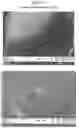 Fig. 09 - Packaged Iron Sucrose Products