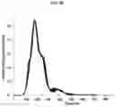 Fig. 06 - Composition comprising sapogenin and exosome as effective ingredient