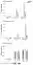 Fig. 33 - Methods of treating exacerbated inflammatory response with topoisomerase I inhibitors