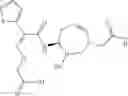 Fig. 167 - Therapeutic uses of pharmaceutical compositions comprising cyclic boronic acid ester derivatives