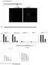 Fig. 06 - Cross-protective pathogen protection, methods and compositions thereof