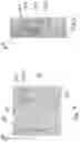 Fig. 07 - Headsets for positioning electronic devices
