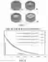 Fig. 07 - Adjustable focus magnetic stimulation coil