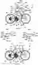 Fig. 55 - Exercise apparatus