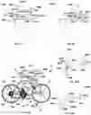 Fig. 59 - Exercise apparatus