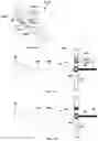 Fig. 62 - Exercise apparatus