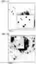 Fig. 03 - BIMETALLIC CATALYSTS FOR SELECTIVE AMMONIA OXIDATION