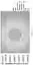Fig. 12 - Magnetic filtering device