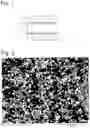 Fig. 02 - Cylinder for molding machine, and its production method