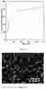 Fig. 06 - Rosin-based small molecular weight hydrogelator and its application
