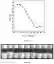Fig. 07 - Rosin-based small molecular weight hydrogelator and its application