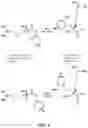 Fig. 02 - Arginase Inhibitors and Methods of Use
