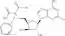 Fig. 197 - Ectonucleotidase inhibitors and methods of use thereof