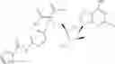 Fig. 511 - Ectonucleotidase inhibitors and methods of use thereof