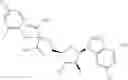 Fig. 744 - Ectonucleotidase inhibitors and methods of use thereof
