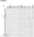 Fig. 04 - Canine antibody libraries
