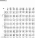 Fig. 06 - Canine antibody libraries