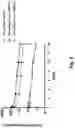 Fig. 09 - Antibodies that target HIV GP120 and methods of use