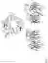 Fig. 02 - Isolated nucleic acids encoding anti-sortilin antibodies