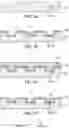 Fig. 02 - Flow cell including a heteropolymer