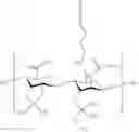 Fig. 48 - Flow cell including a heteropolymer