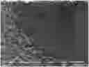 Fig. 01 - Polymer composition, foam and method thereof