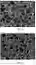 Fig. 02 - Polymer composition, foam and method thereof