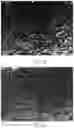 Fig. 04 - Polymer composition, foam and method thereof