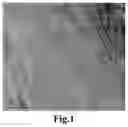 Fig. 02 - Method for preparing fluorescent polarizing film based on directional arrangement of quantum rods
