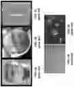 Fig. 02 - Defect-resistant plastic scintillation radiation detector compositions and fabrication methods