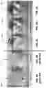 Fig. 03 - Defect-resistant plastic scintillation radiation detector compositions and fabrication methods