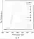 Fig. 11 - Organic luminogens
